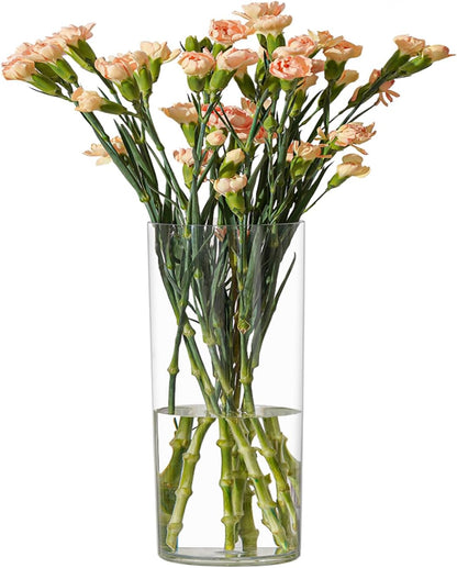 Royal Imports Flower Vase Acrylic Cylinder